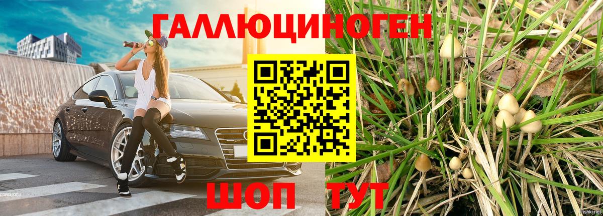Галлюциногенные грибы мухоморы  цена   Соль-Илецк  Вход с VPN 